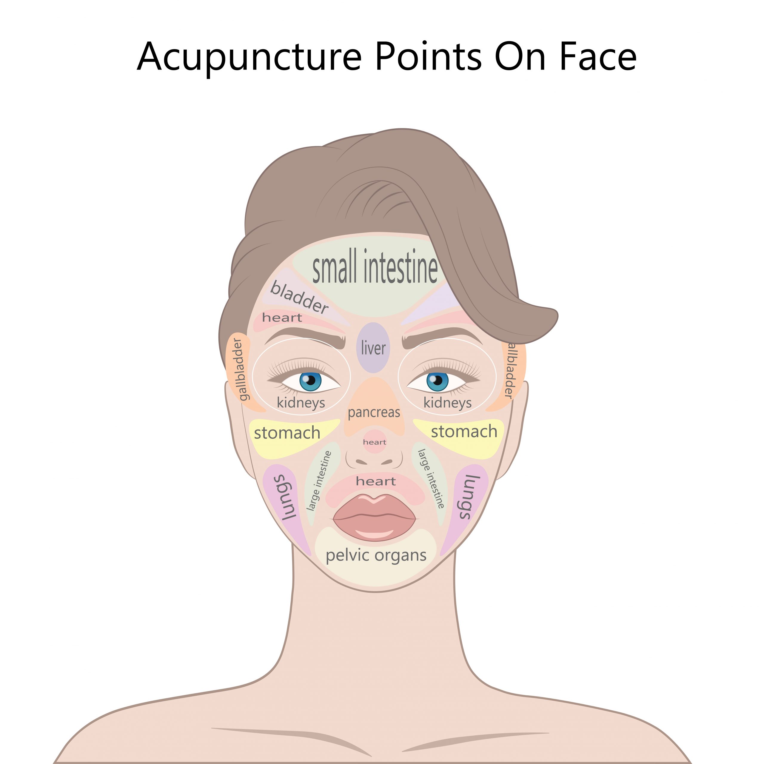 Reflex areas on the face